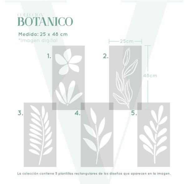 Plantillas para pintar, Vamarú Stencils, Colección Botánico 48x25cm, 5und - Imagen 2