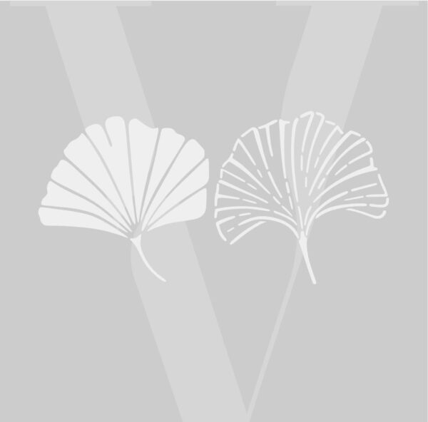 Plantillas para pintar, Vamarú Stencils, Colección Ginkgo 48x48cm, 2und - Imagen 5